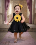 Black Sunflower
