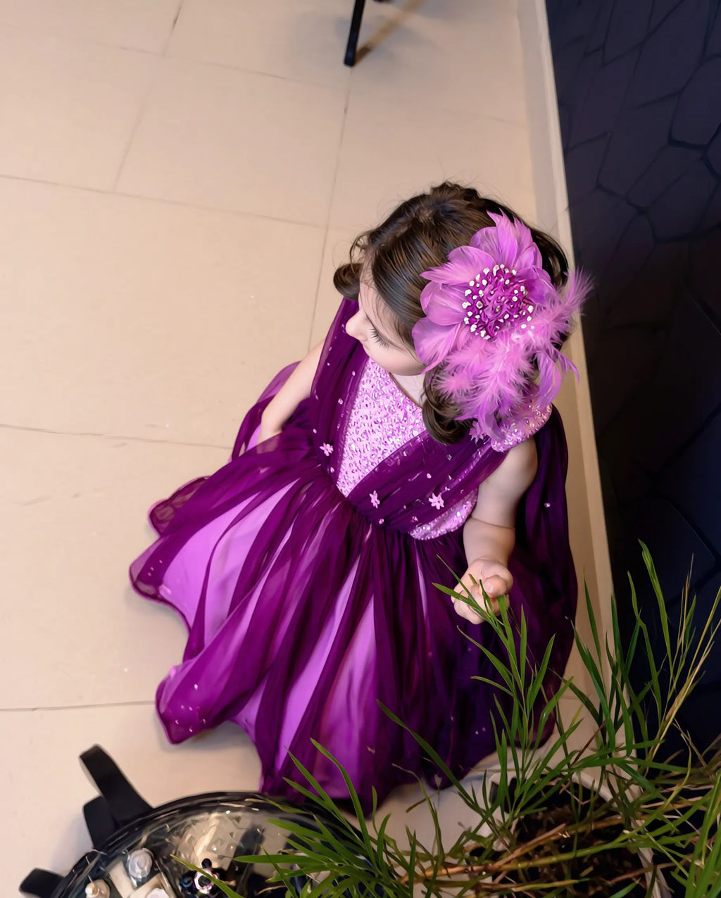 Plum Queen