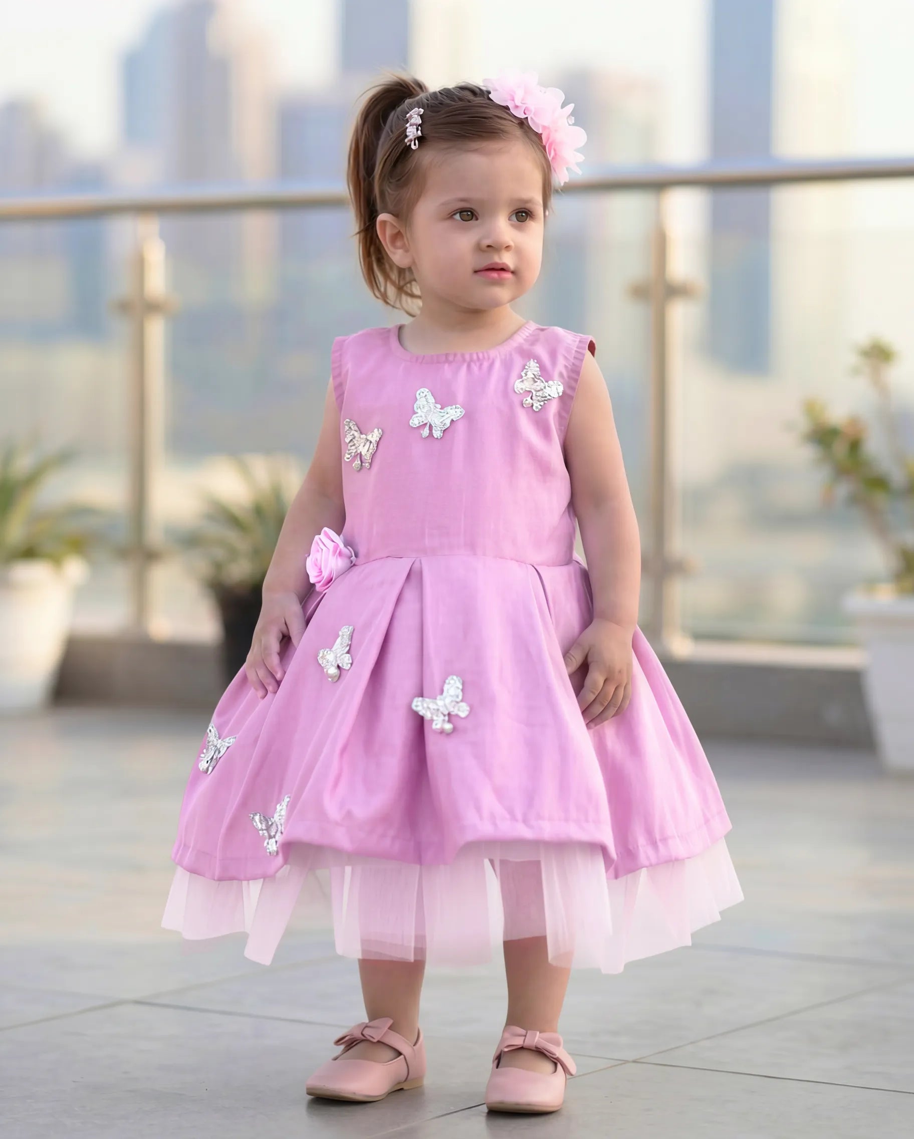Lilac Dove
